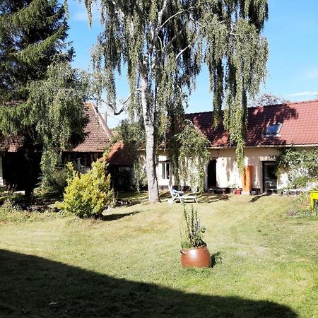 Le Domaine Des Anges Guest House Wavrans-sur-l'Aa Ngoại thất bức ảnh