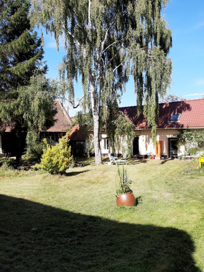 Le Domaine Des Anges Guest House Wavrans-sur-l'Aa Ngoại thất bức ảnh